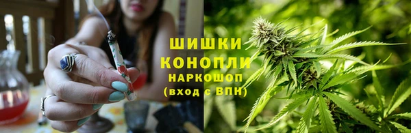 гашик Корсаков