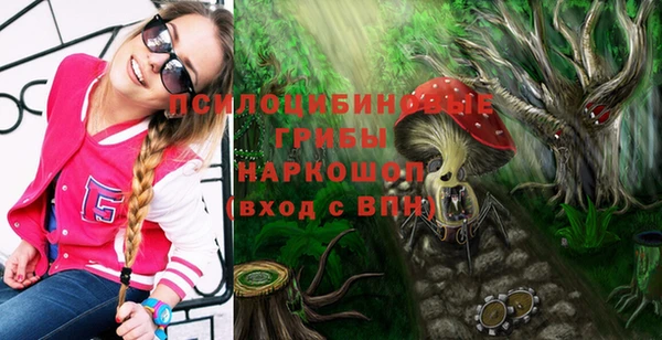 гашик Корсаков