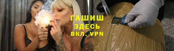 гашик Корсаков