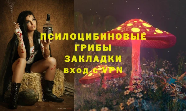 гашик Корсаков