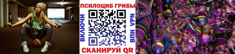Псилоцибиновые грибы Psilocybine cubensis  Петровск-Забайкальский 